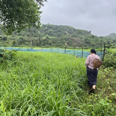 arunihigio's tweet photo. #NewProfilePic https://t.co/ctOF76944x