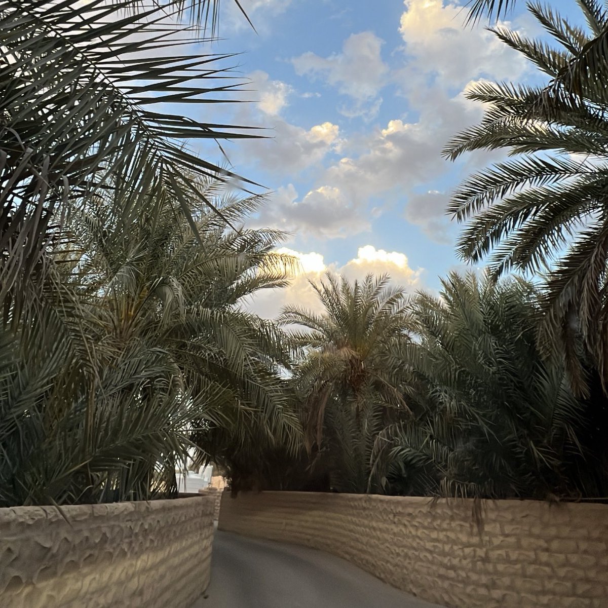 khkxd's tweet photo. مَا مَطلِبِي مِنْ هَيـلي               مَطْلُوبِي مِنْ هَلَـه
ريـمٍ  عُـوده  يِمْيـلي               وَاعْضَـاه  امْعَـزّلَه
يشبه ظَبِي لِمْجِيـلي                وَالــرَّاعِي   يَفْـلّـه
بَسْوق  يَمْع  نْخِيـلي                لَوْ  طَاعُوا بَه  هَلَه https://t.co/J7aeQF7qNb
