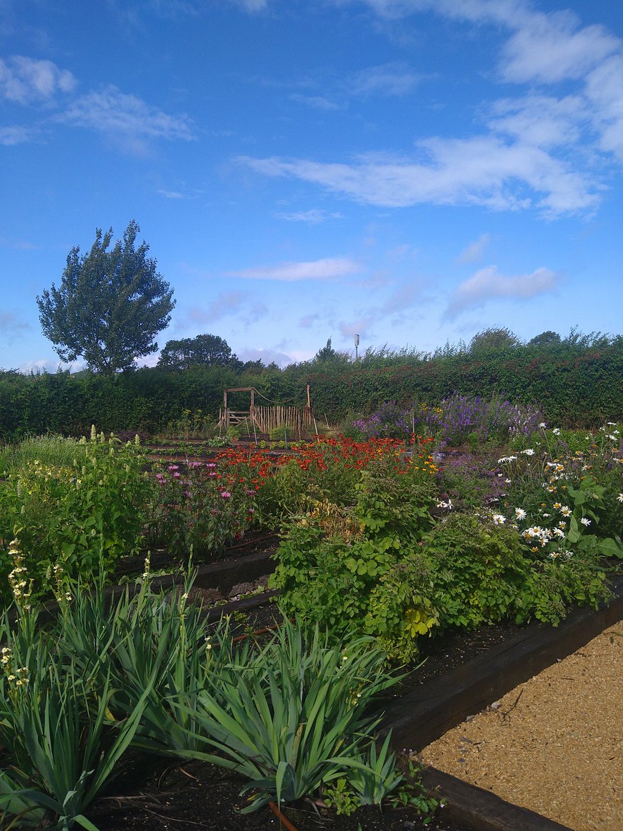 maryjane2374's tweet image. Cutest little date - cutting flowers together followed by tea &amp;amp; cake!

#justperfect #freshcutflowers #locallygrown #teaandcake #datetime #Buckinghamshire