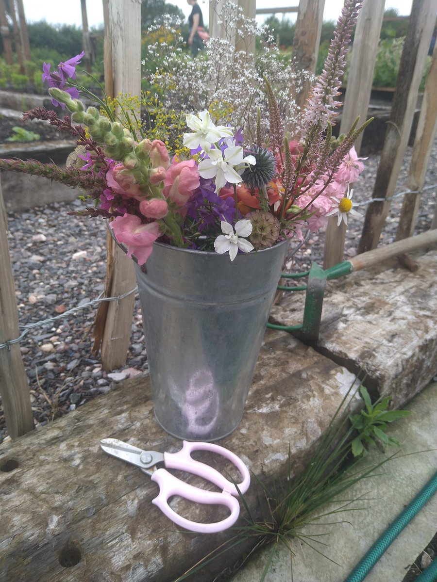 maryjane2374's tweet image. Cutest little date - cutting flowers together followed by tea &amp;amp; cake!

#justperfect #freshcutflowers #locallygrown #teaandcake #datetime #Buckinghamshire