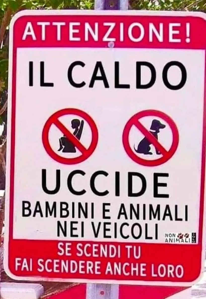 Il caldo uccide...🆘🆘🆘🆘buon pomeriggio 😘🤗☕💖