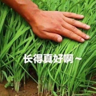 Jun80128343's tweet photo. #新头像 https://t.co/4kLy3hIgqn