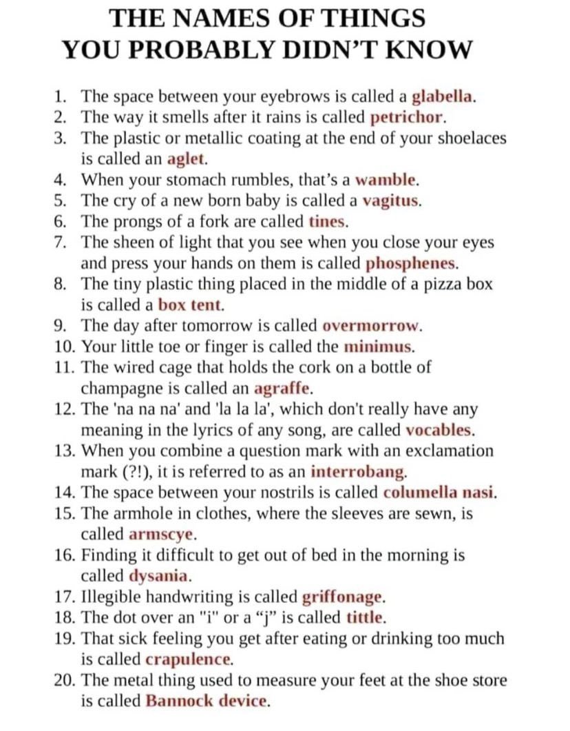 Brendan O'Sullivan 🇮🇪🇪🇺 tweet media