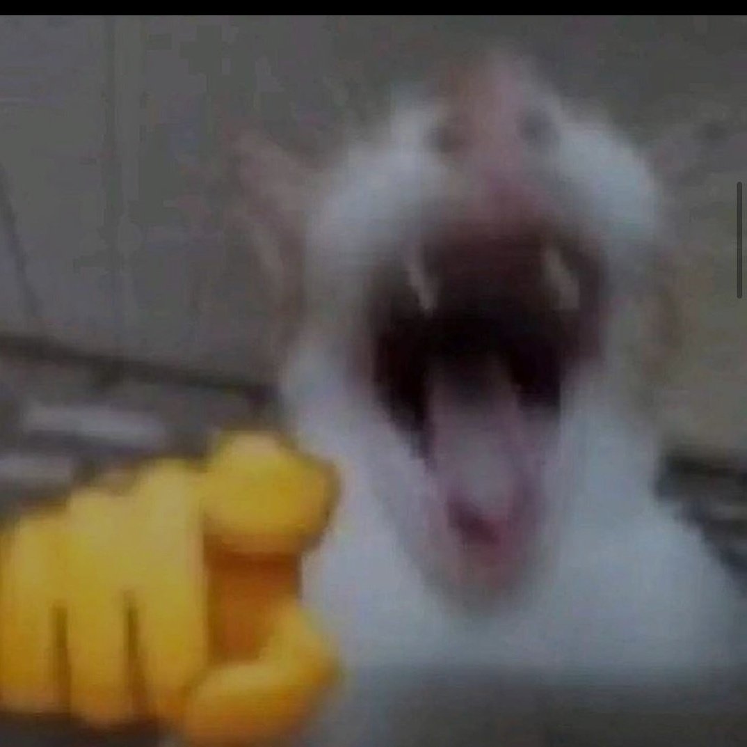 POV I see how you didn't invest in Bitcoin 
#cryptomeme #Cryptocurency #Bitcoin