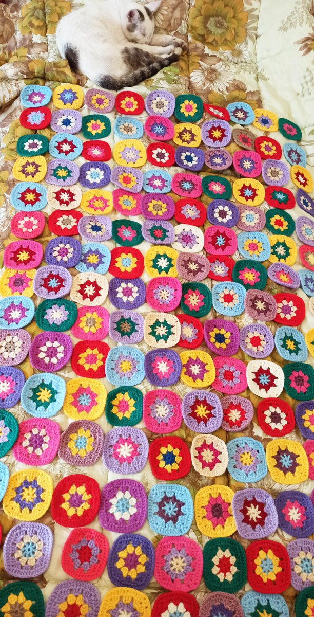 Weekend vibes call for cosy crochet projects. 🙂
What's on your hook this weekend? 
I am working on a new blanket project with a sleepy cat in the background😊🧶🐈
Don't forget to take breaks, and sip some tea! 😊🌸☕ 

#WeekendVibes #CrochetBliss #crochetlove #crochet