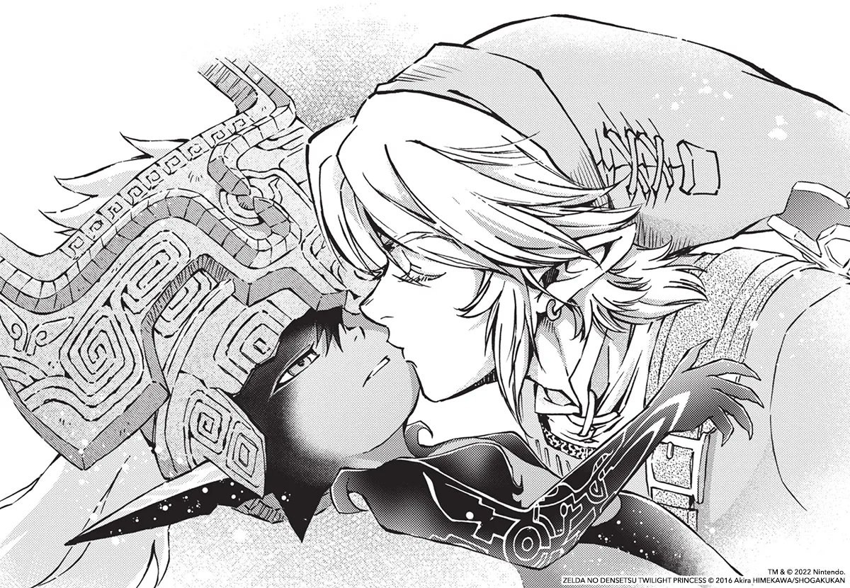 Zelda Twilight Princess Manga Volume 11 Arrownaut 🍥🍜 TOTK ⚔️ on Twitter: "Zelink is canon in every universe but