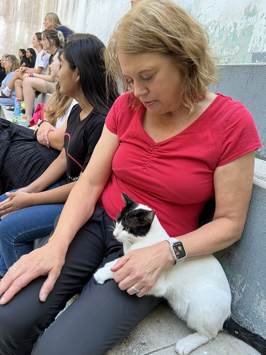 GDLC Youth & Family tweet media