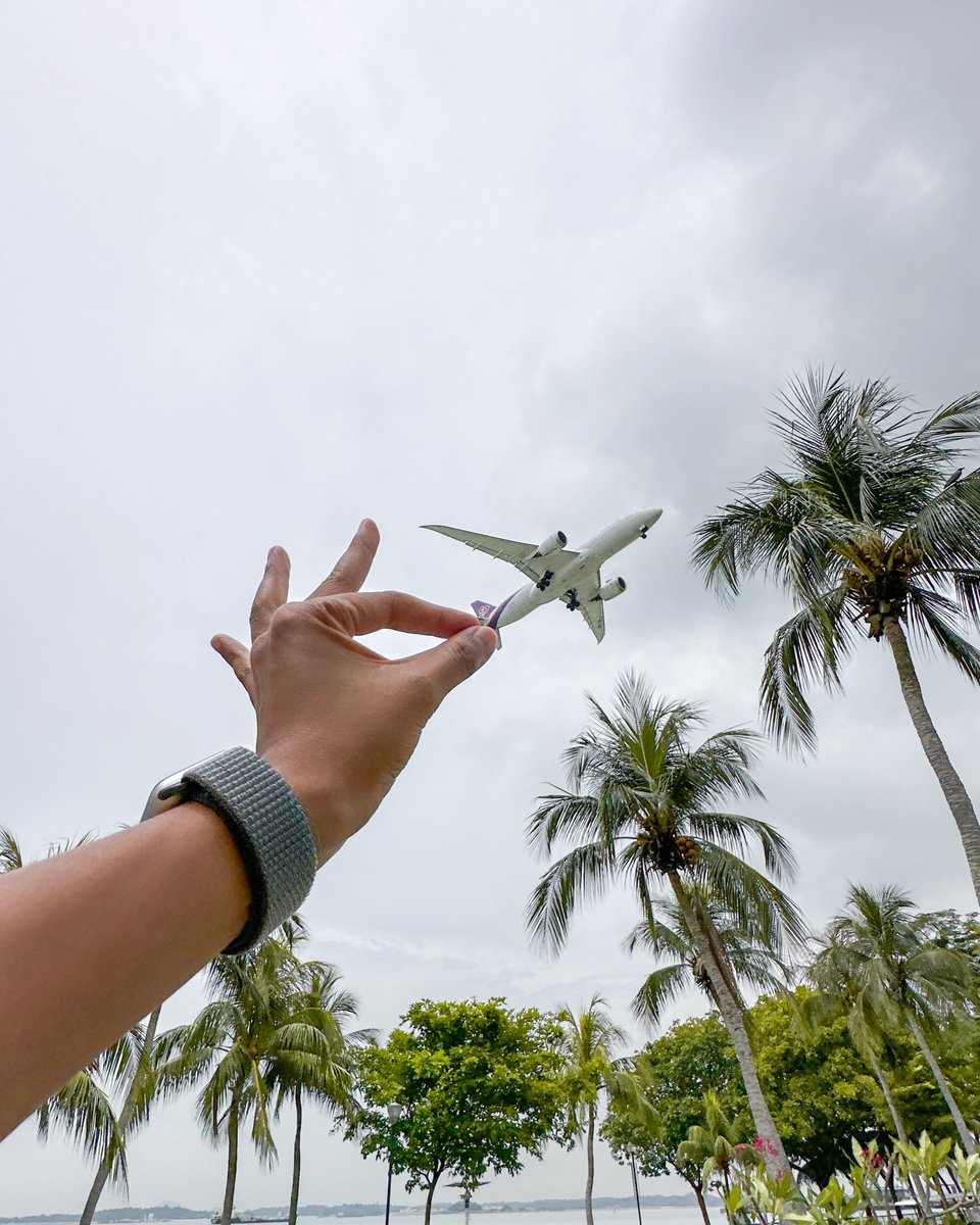 Yaphickleminded's tweet photo. Catch airplanes not feelings. #ShotOniPhone https://t.co/1c76CqM8nx