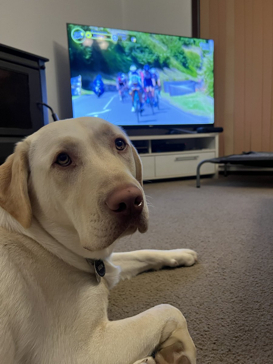 Am75Morris's tweet photo. #couchpeloton #TDF2023 https://t.co/aHijW1Kz5h