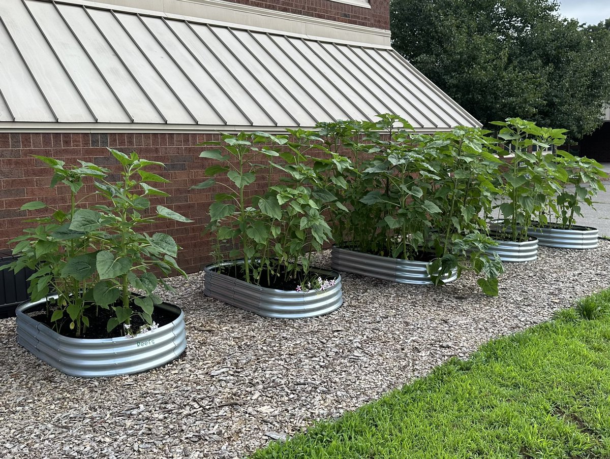 JC Solmonese Elementary tweet media