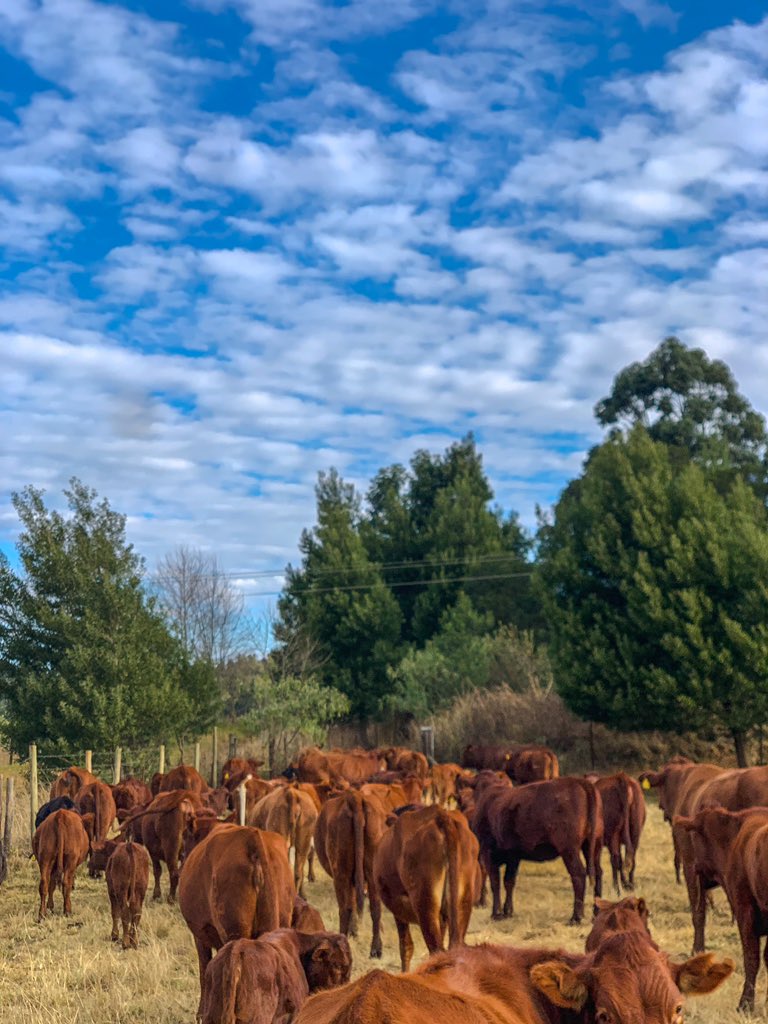 Views at the office. 
#youngandhappy #youngandfarming