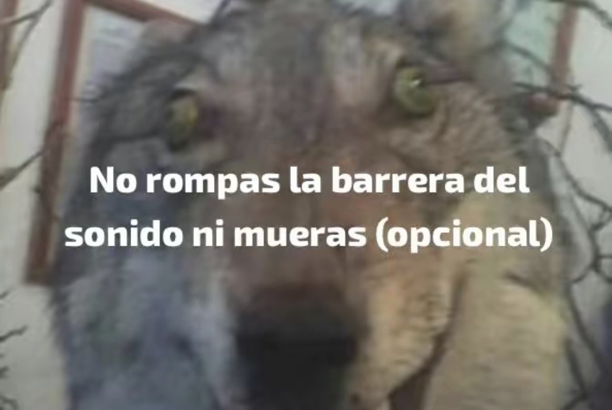 yisus young boi tweet media