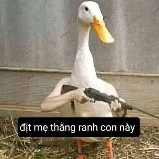 F1FT9OZaQAA4w7L.jpg