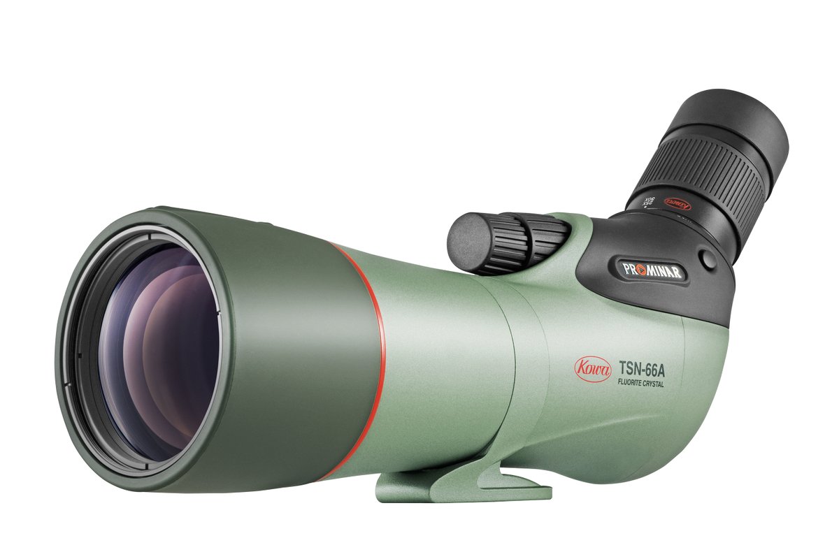 frontrangebird's tweet image. Introducing Kowa's New 66mm Fluorite Scope! - mailchi.mp/frontrangebird…