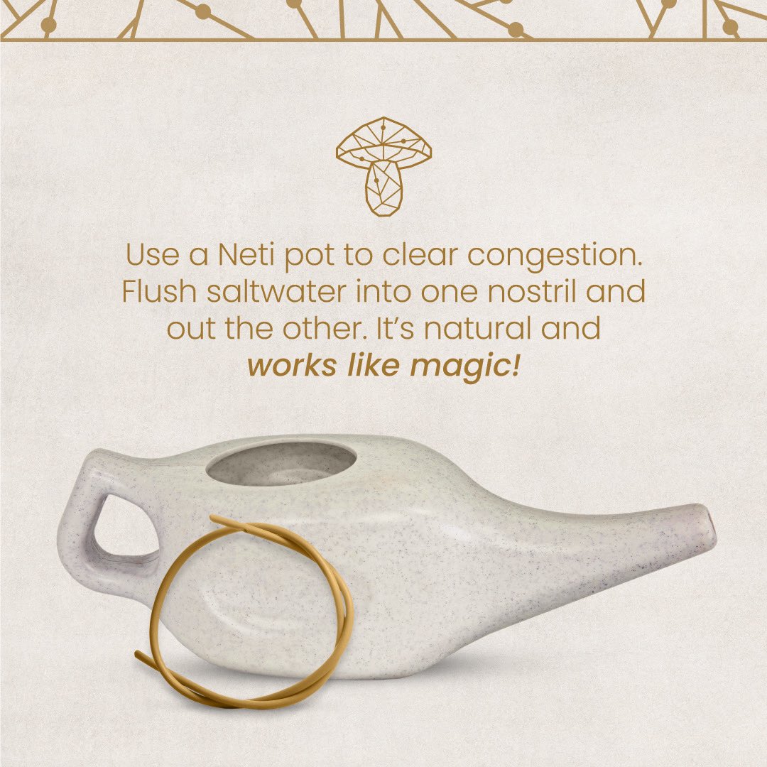 TheSporingCo's tweet photo. Have you tried a #NetiPot?
A neti pot is used to push a flow of saline solution through a persons nasal passages, clearing out mucus and allergens inside the nasal passage. The saline helps prevent irritation of the nasal passage.
Learn more today at:
https://t.co/WXsrxcatjl https://t.co/UorpZZ0jyx