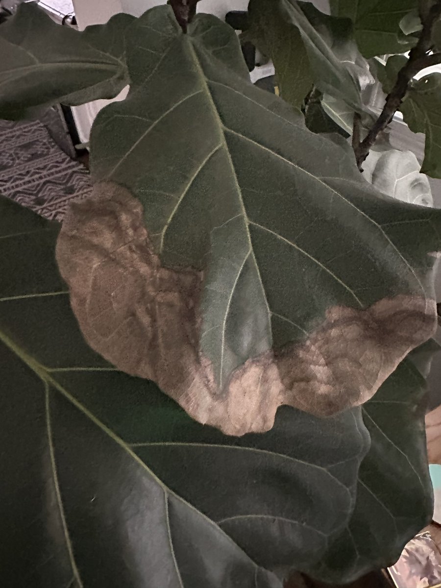 Kyle Lacy tweet media