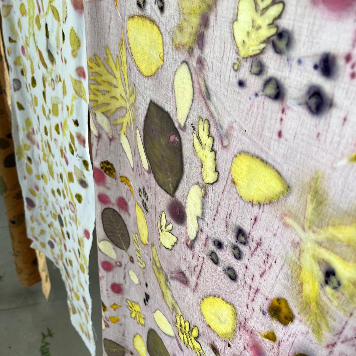 How to slow down &amp; live in the moment - join our botanical printing course. This long wknd based in the beautiful Glen Strathfarrar will provide you with the knowledge needed to use botanical dyes to transfer beautiful patterns onto paper, card &amp; silk.