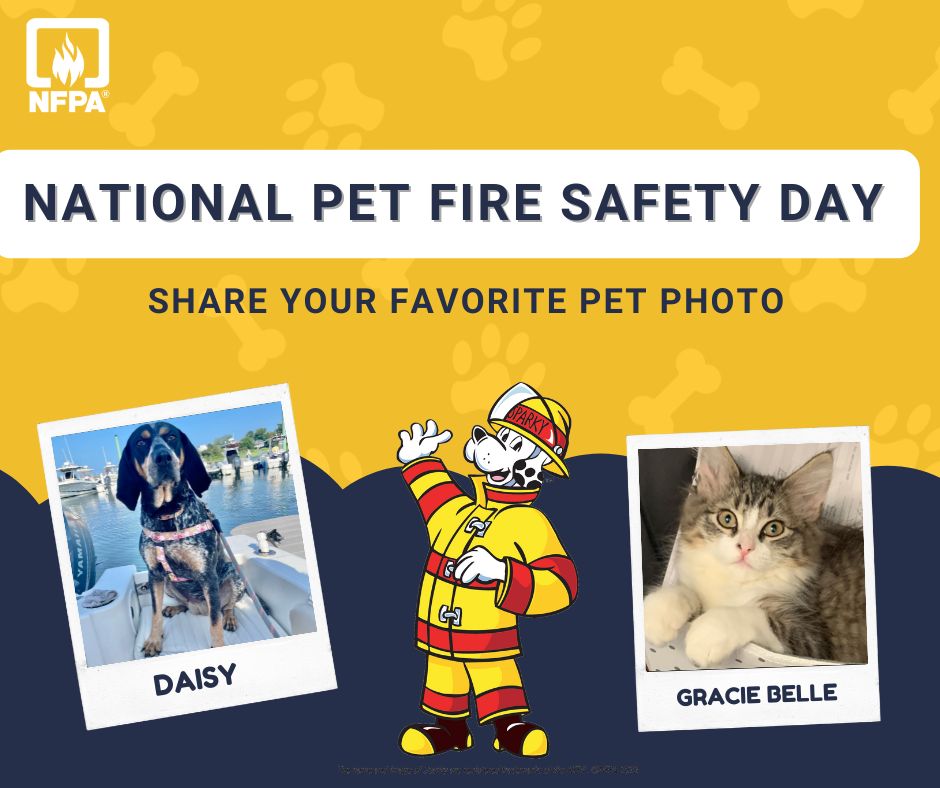 NFPA's tweet image. Say hello to the newest @NFPA staff pets! Pets are curious. Keep pets away from stoves, countertops, candles, lamps, and space heaters. Check out this safety tip sheet for more ways to keep your pet fire safe: nfpa.social/kqj650PbLC9 #NationalPetFireSafetyDay