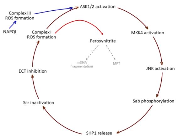 Steve Curry tweet media