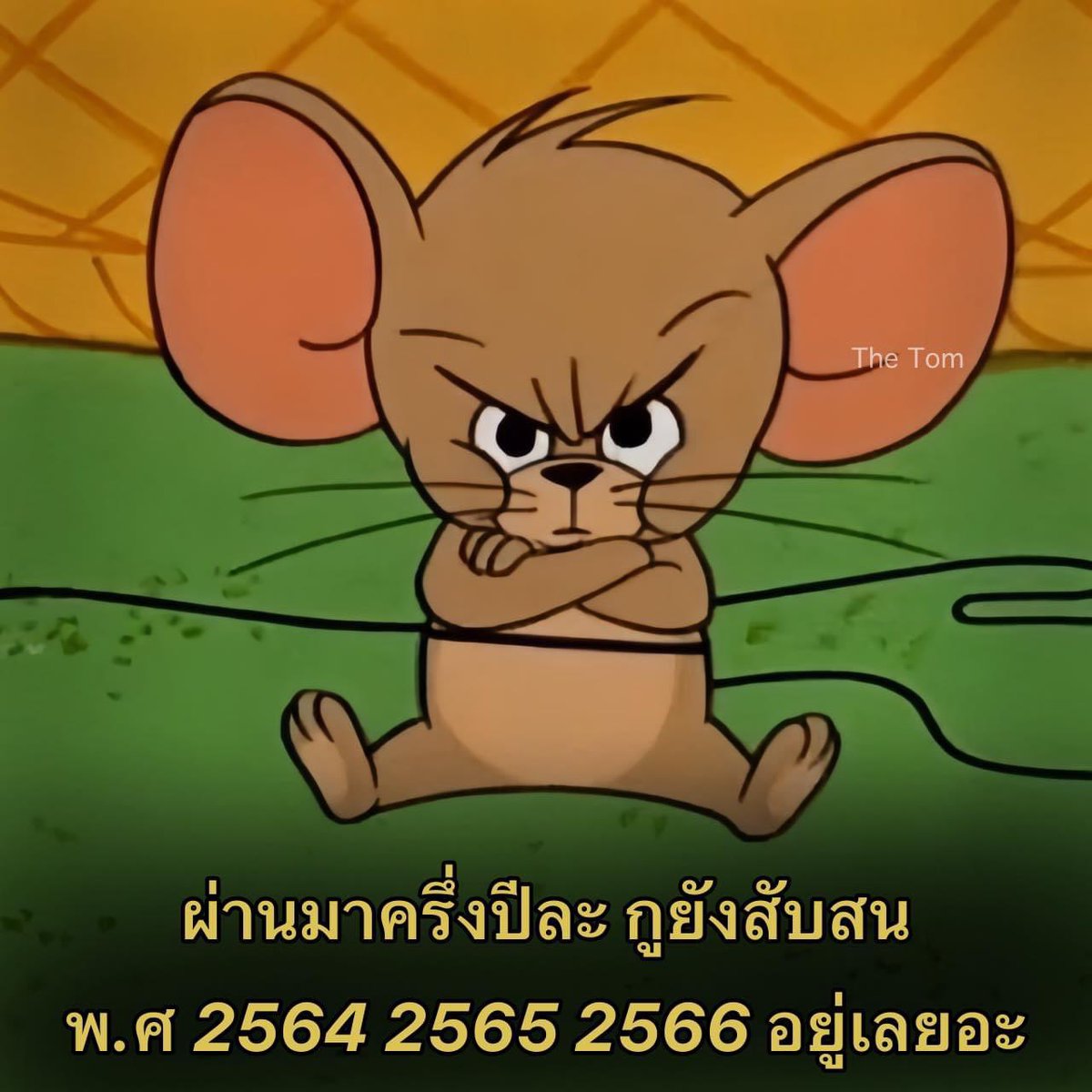 เออจริง555555555555555555