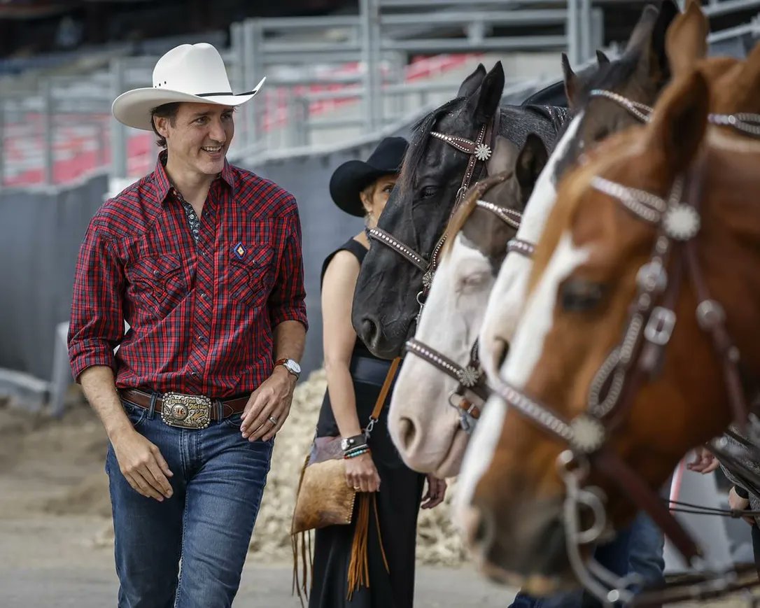 g_addison's tweet image. All hat &amp;gt; no cattle  -&amp;gt; Dear Leader #fakePM