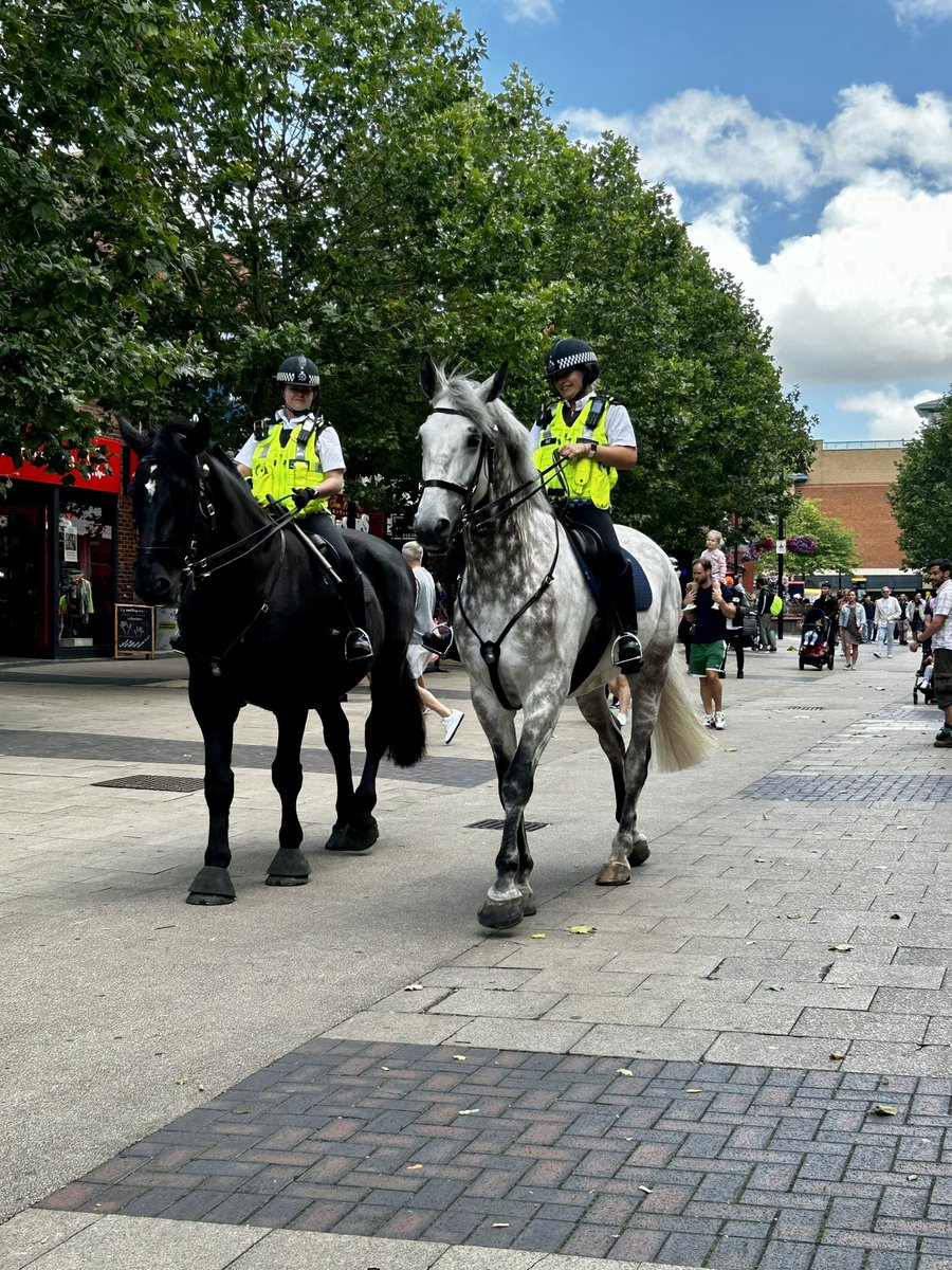 Bexleyheath Ward (@mpsbexleyheath) on Twitter photo Bexleyheath ward officers have teamed up with <a href="/MPSBexleyTCT/">Bexley Police Town Centre Team</a> and Special Officers today and we have been registering bikes, answering questions and handing out leaflets. TSG, a dog unit and mounted branch have also joined us. Lovely to meet you all today #saferneighbourhood Bexleyheath ward officers have teamed up with <a href="/MPSBexleyTCT/">Bexley Police Town Centre Team</a> and Special Officers today and we have been registering bikes, answering questions and handing out leaflets. TSG, a dog unit and mounted branch have also joined us. Lovely to meet you all today #saferneighbourhood