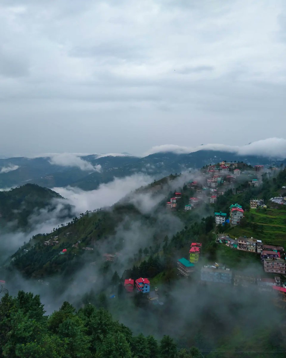 desi_superman_'s tweet photo. Monsoons 🤝🏻 Shimla

#shimla #mountains #Monsoon https://t.co/t6NszaGFNS