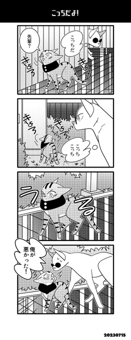 猫五悠!