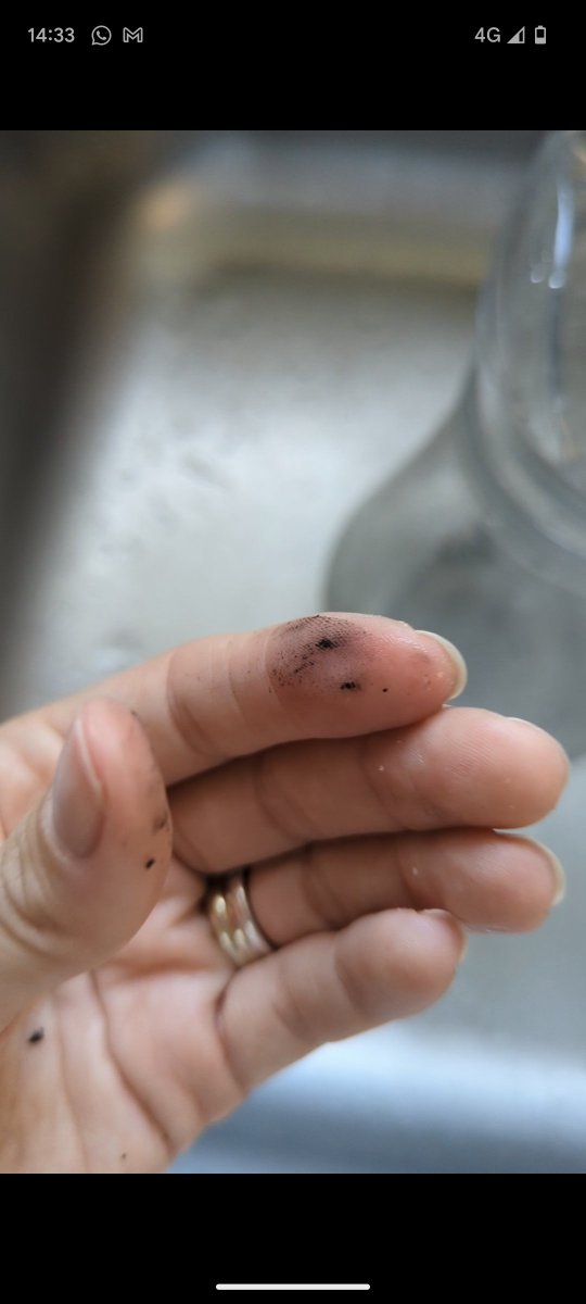 APryorRGN's tweet photo. Black rubber coming from all our taps, fobbed off by @PinnacleSF for 3 weeks now. Buying bottled water to drink, cook, clean our teeth. I wouldn't choose to live in Army accommodation but my husband serves &amp; we want to be a family. Always treated like crap! ☹️@DefenceHQ @The_AFF https://t.co/iOT9q2RLTZ