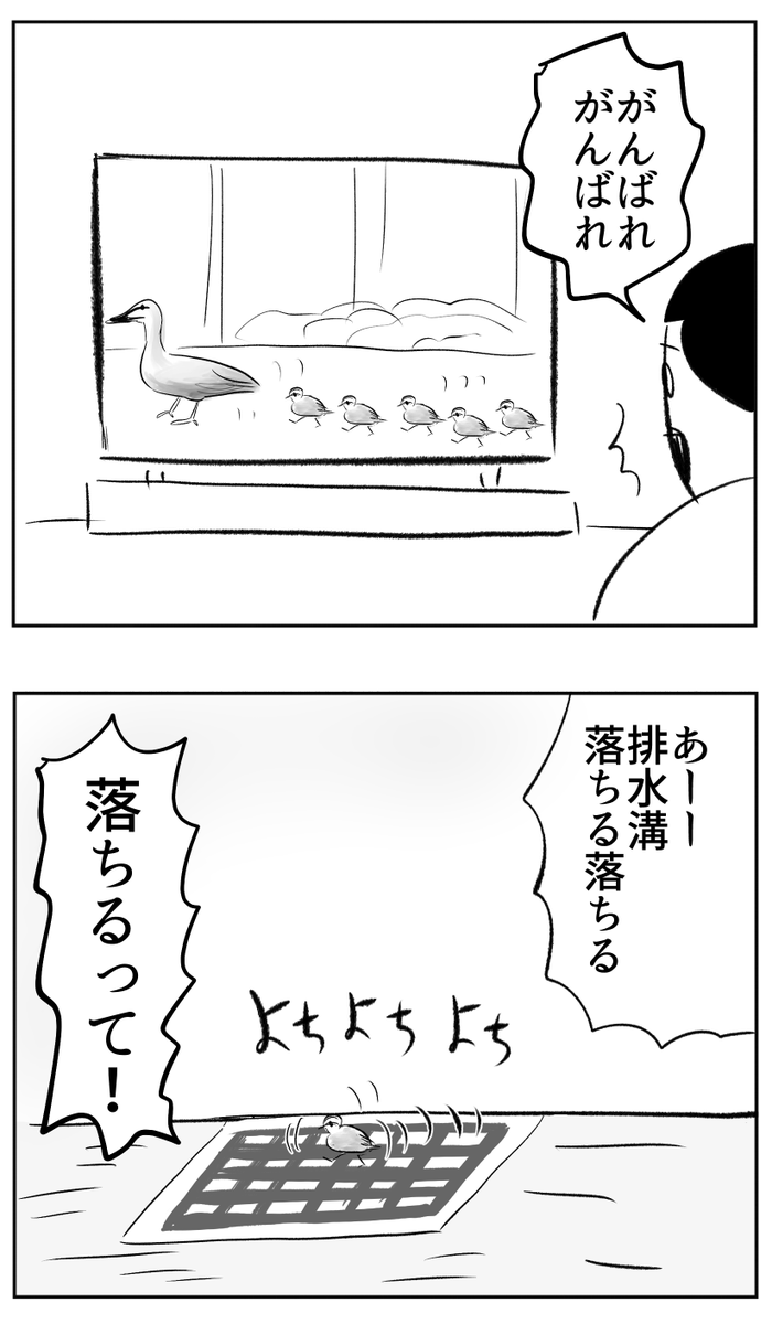 わかっているのにヒヤヒヤする
https://t.co/8PvyDxedW8 