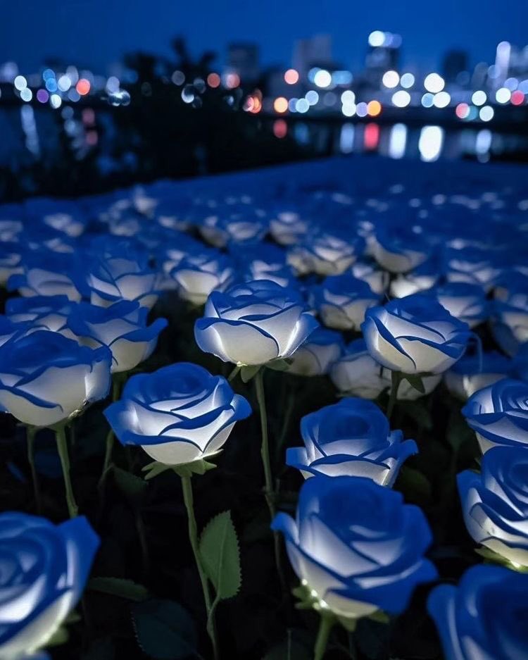 violettweets_'s tweet photo. blue roses. https://t.co/KtmKZm991Q