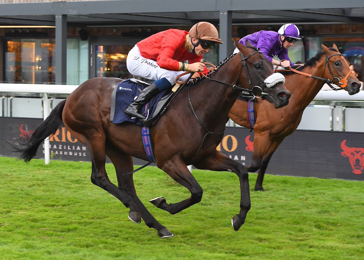 ChesterRaces's tweet image. 💯 Congratulations to @AndrewBalding2 who has just trained his 100th winner here at #ChesterRacourse with Loaded Gun, under @davidprobert9 🎉

What a fantastic achievement🐎🥇

#AndrewBalding #100winners #ChesterRaces