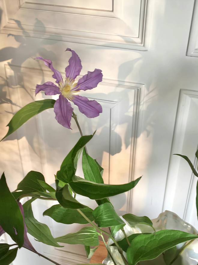 bantragabe's tweet photo. Flowers open and bloom with the beauty of life, may your every day be filled with the fragrance of flowers. https://t.co/nQicb8syni
