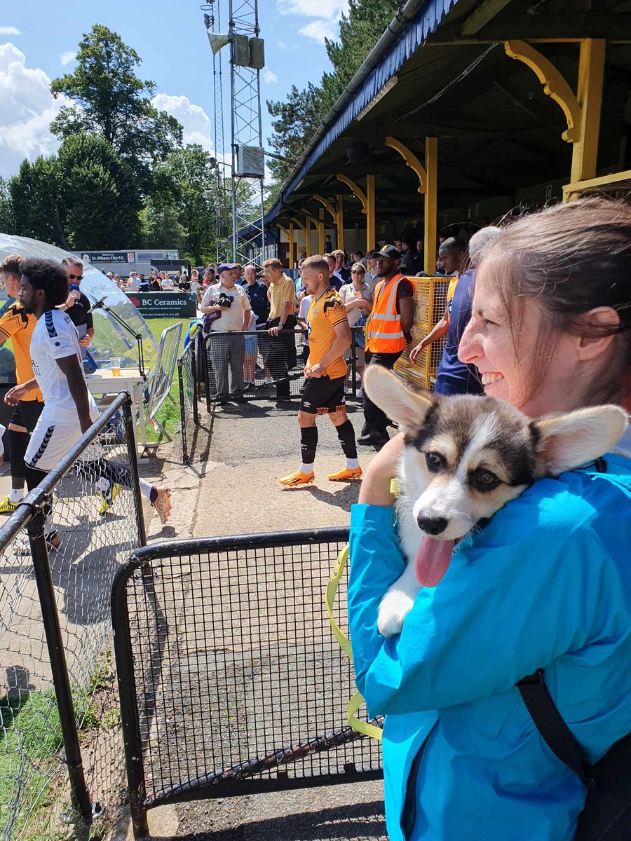 Before seeing Harrison Dunk ➡️ seeing Harrison Dunk ➡️ after seeing Harrison Dunk