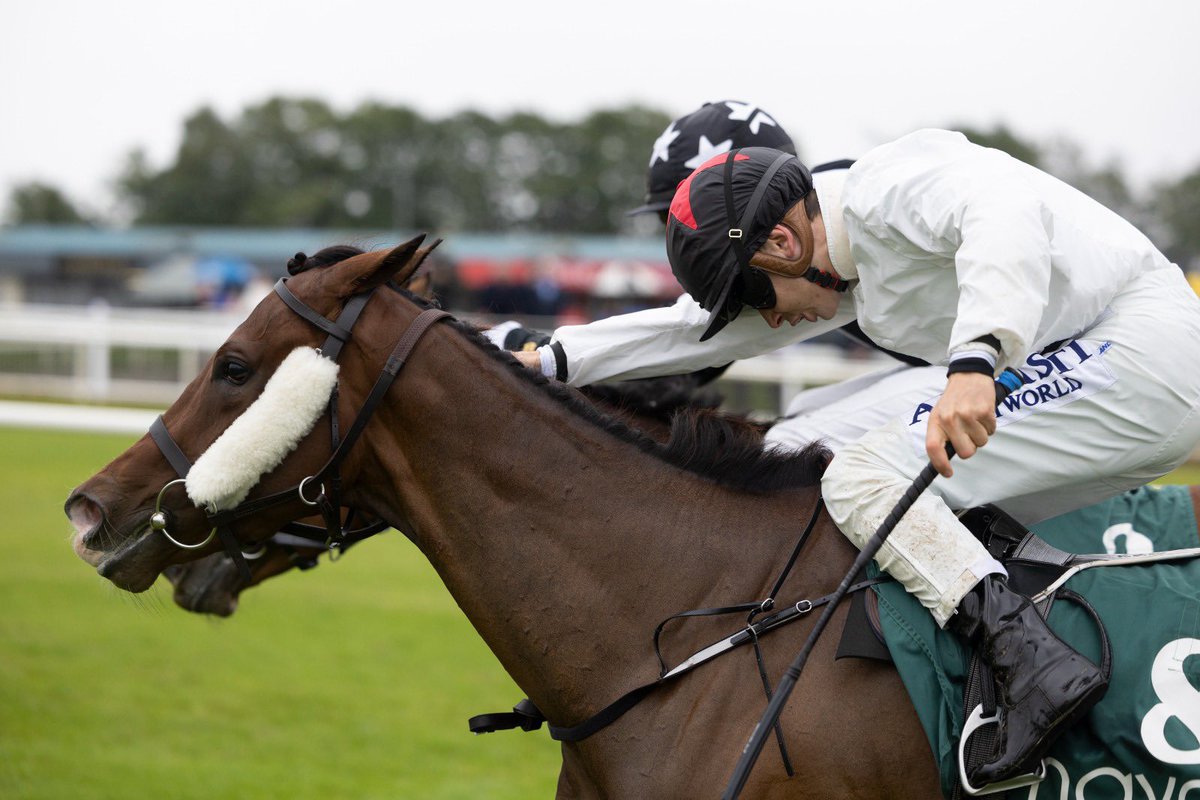 Syndicates.Racing tweet media