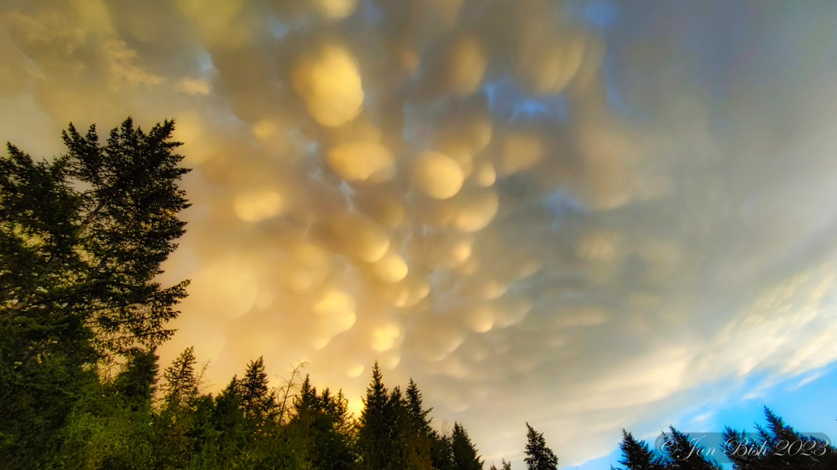 JMBPhotoPNW's tweet photo. Never seen clouds like these, who knows what type they are?? Color variations are different times 10-15 min apart...☁️☁️
Lava Lamp Skies...⛰️⛰️🌄🌄
#MountainLife... 🥰🥰
#LGMobile #BlessedAndGrateful #PNW #ShotOnSnapdragon https://t.co/zRt2vTXthu
