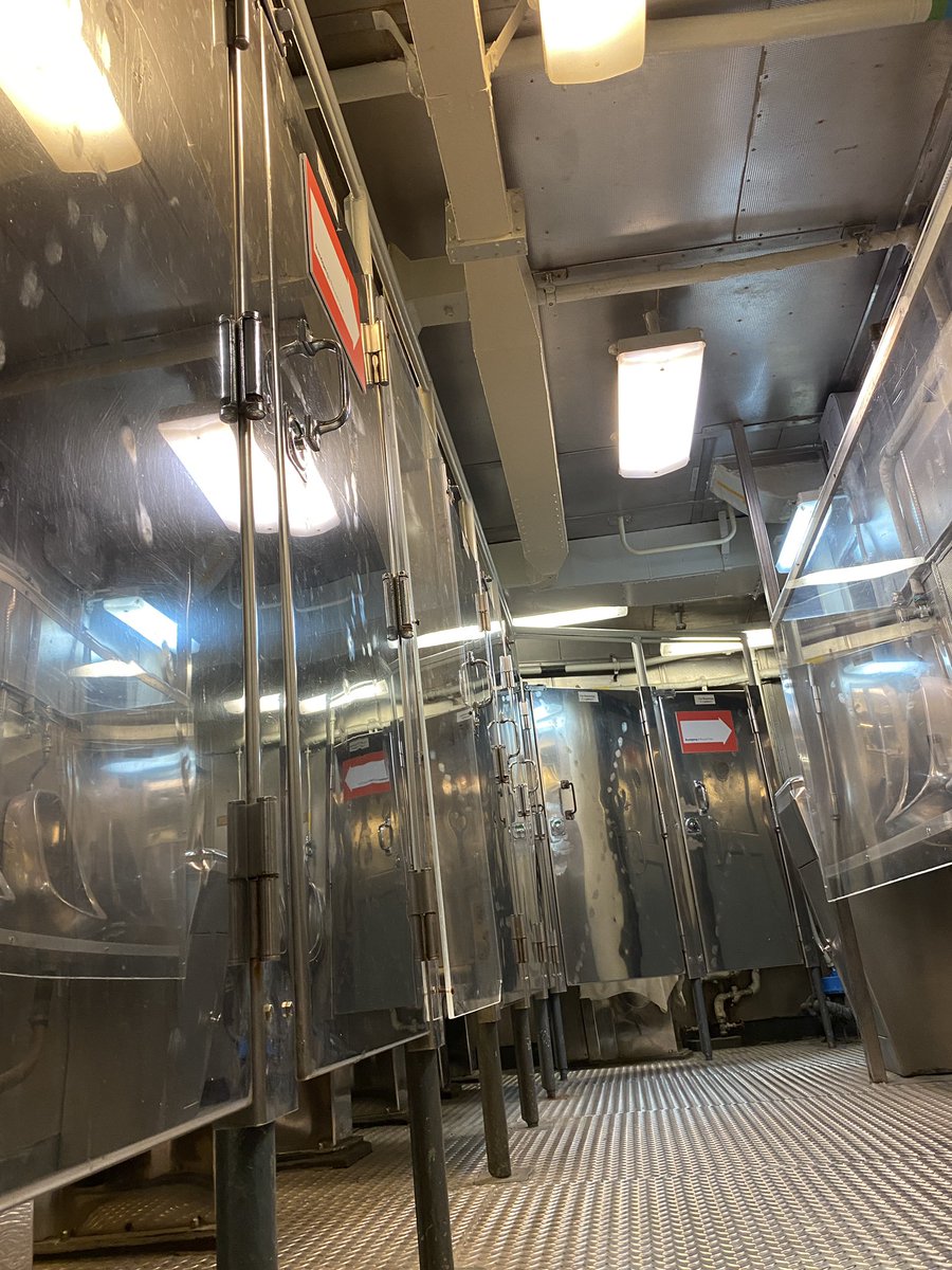 InnerMoonChild's tweet photo. Ferienfahrt für dieses Jahr hinter mich gebracht. Besonders gefallen hat mir wider Erwarten das Marinemuseum in Wilhelmshaven. Dazu war die Gesellschaft aber auch einfach richtig und schön 🥰 https://t.co/1Wq2j4HGJ0