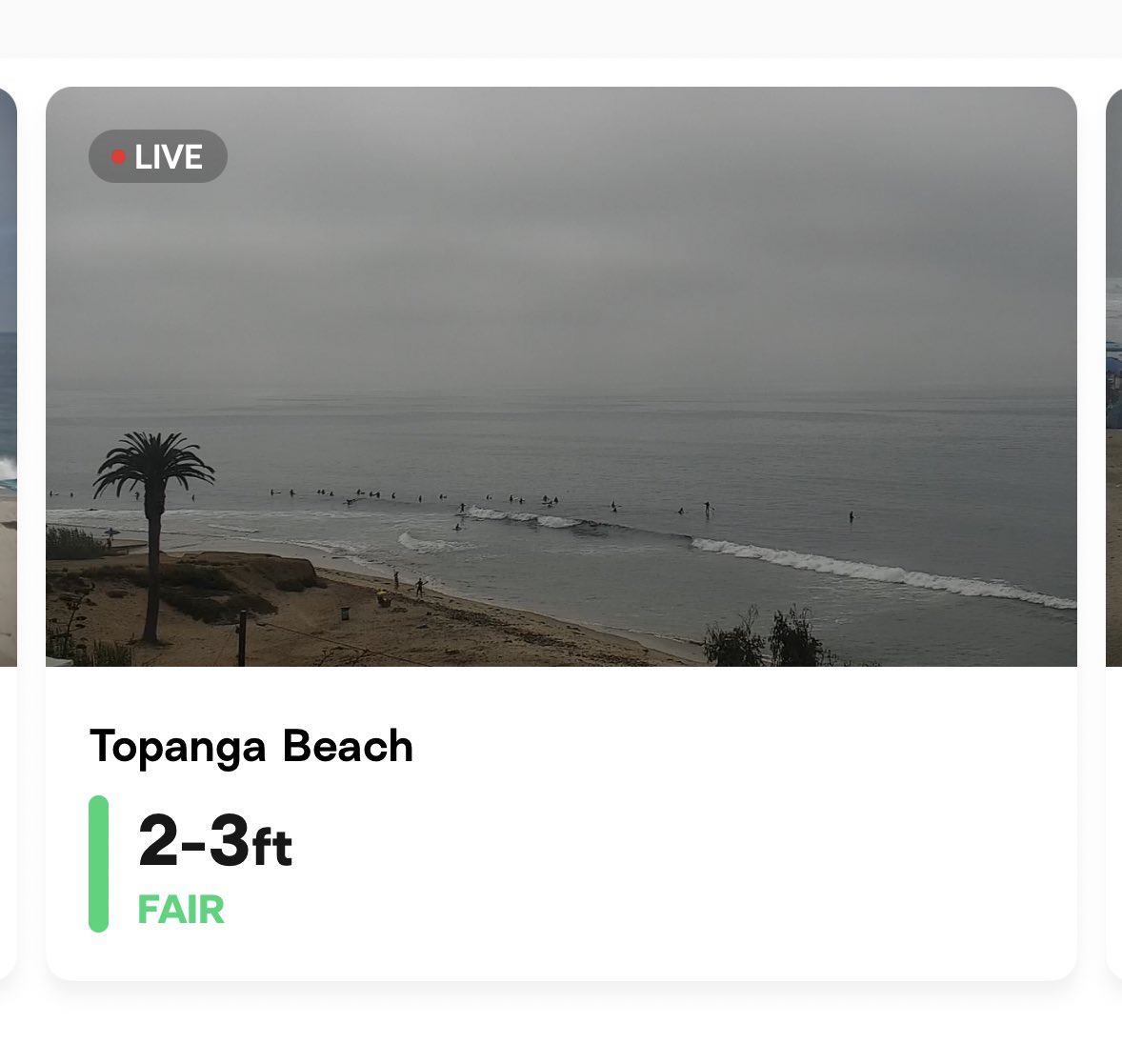 Kim Jiménez tweet media