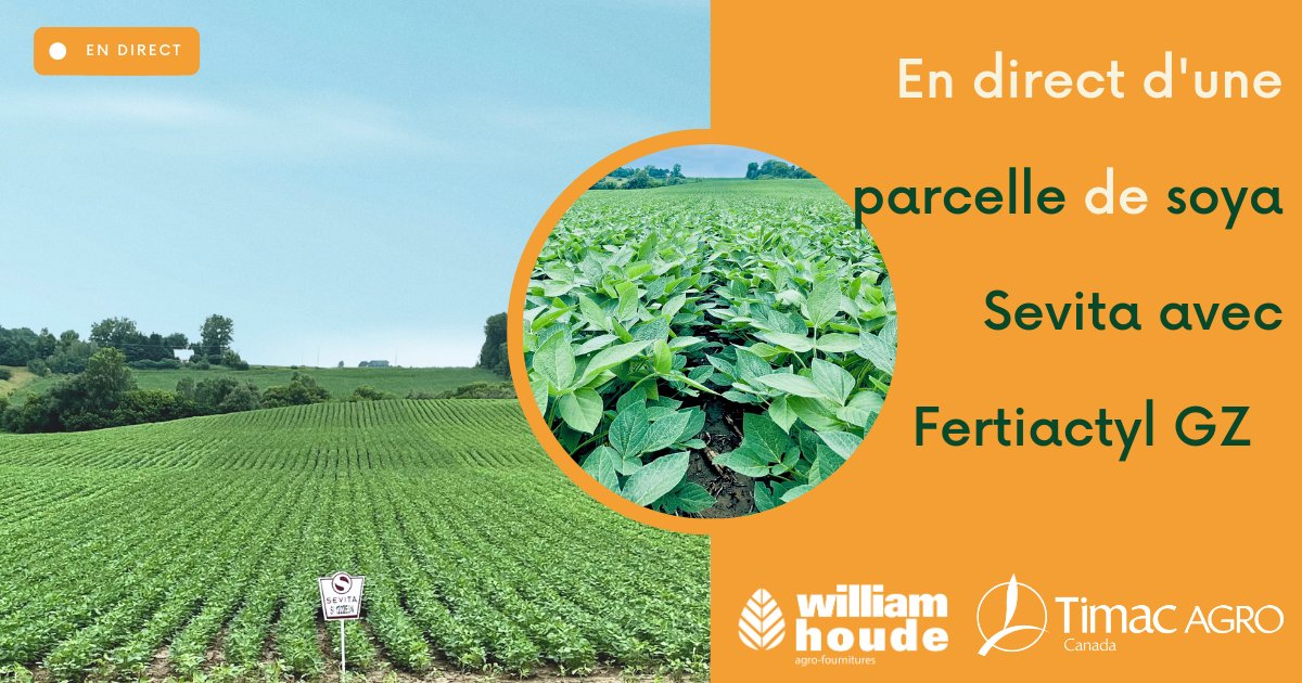 William Houde tweet media
