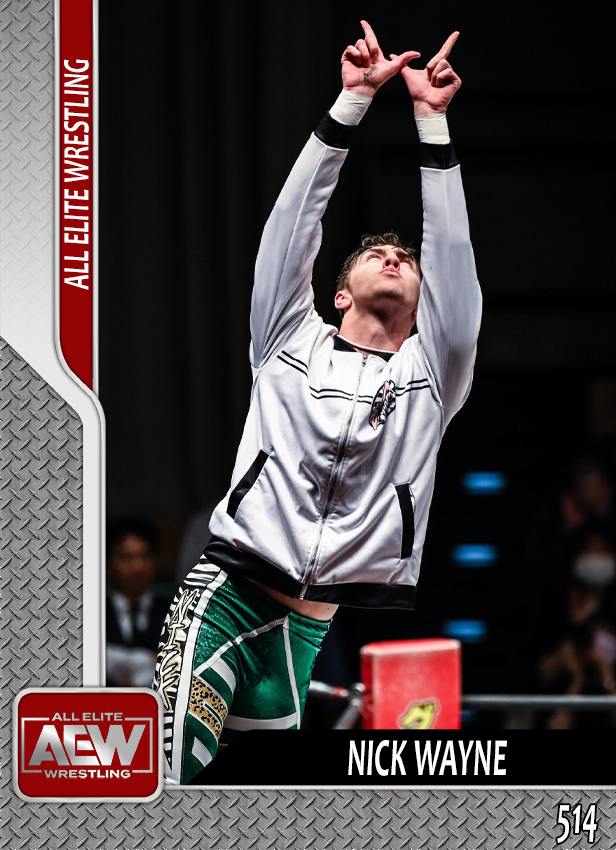 customcards06's tweet photo. 3 new members in my custom #AEW TV Trading card set:
#MENTALLO
@thenickwayne
@iMcQueen_X https://t.co/uF1urrMuof