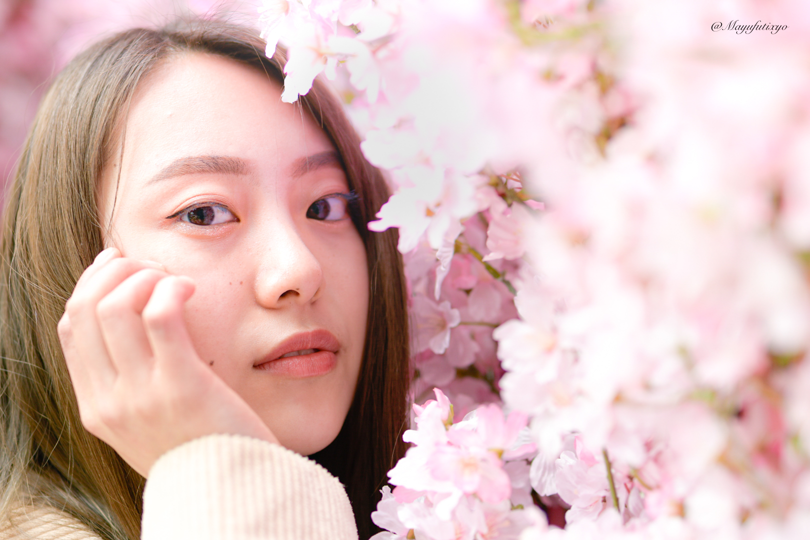 チャランゴ(写真を載せ直しました！お待たせしました。遅くなりすみません) 再度編集してみた - البحث / X