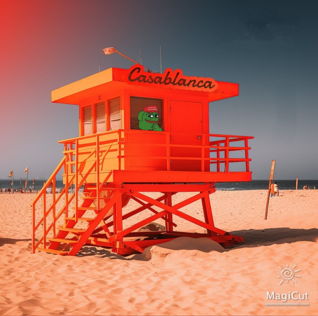 #Pepe 🐸Resting in #Casablanca 🏝️
