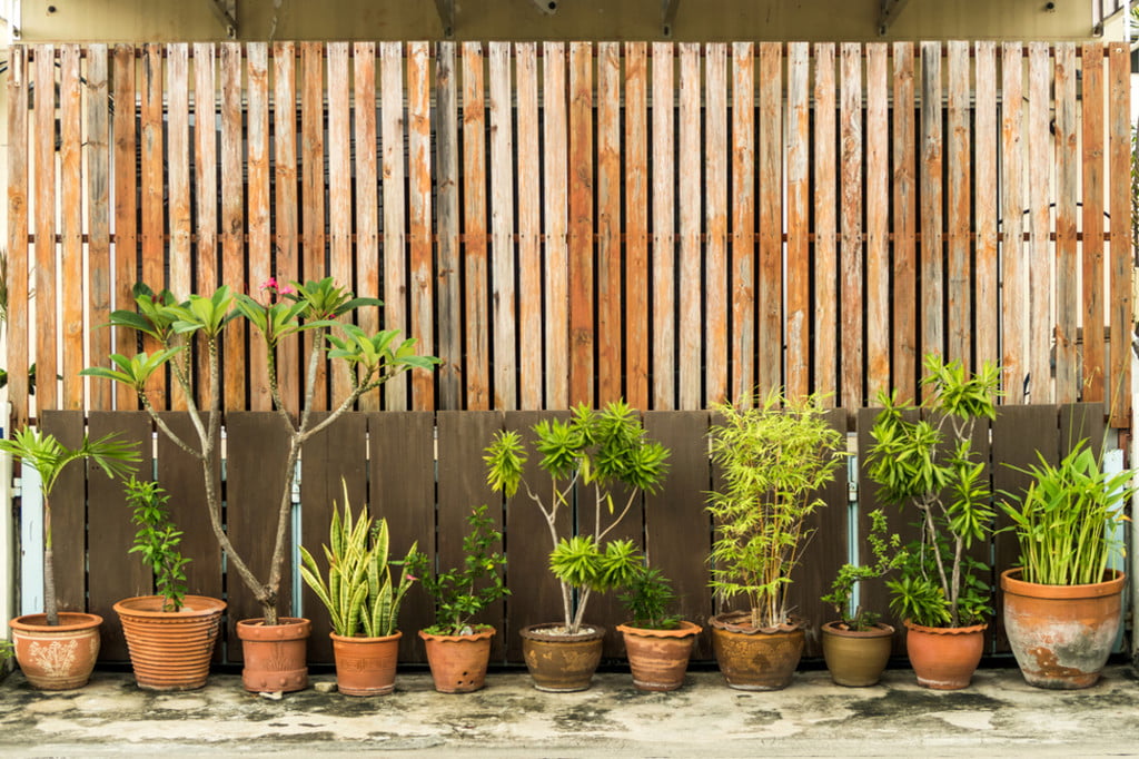 HelenLimRealtor's tweet photo. Here are pros and cons of some of the most popular styles of fences. #exterior #hometips  https://t.co/g2iUBXgzzz https://t.co/cEbWMhIIhL