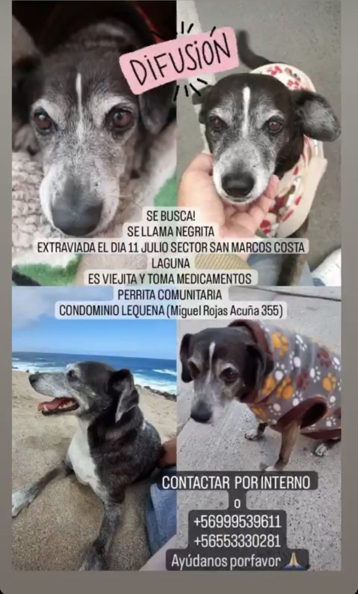 JocecA23's tweet photo. #antofagasta #negritaperdida😢 https://t.co/J7fKCSfo6g