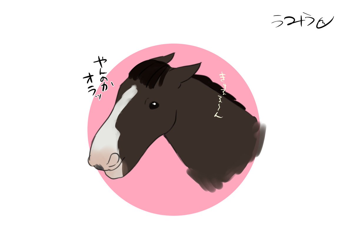 #三連休はフォロワーさんが増える うま🐴推し🐴オニャンコポン