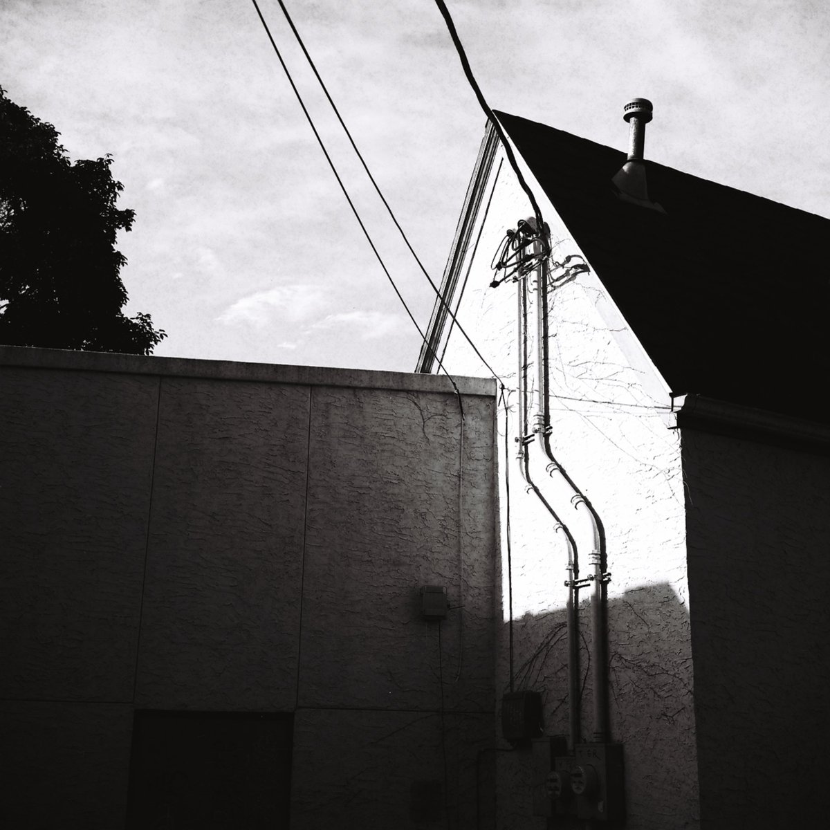 shot some Rollei Retro 80s and i’m in love with the contrast and grain structure 😍

mamiya6