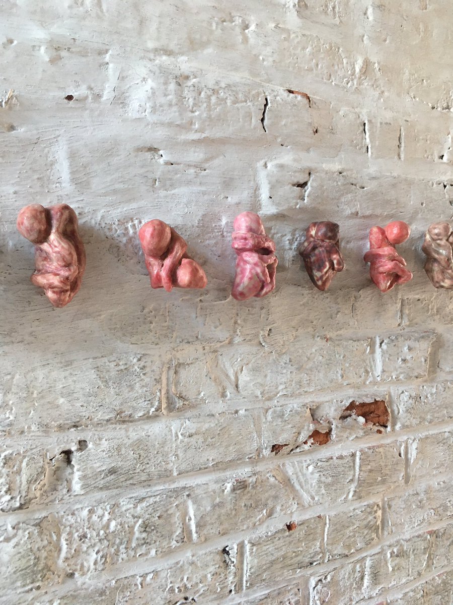 Ward Markey tweet media