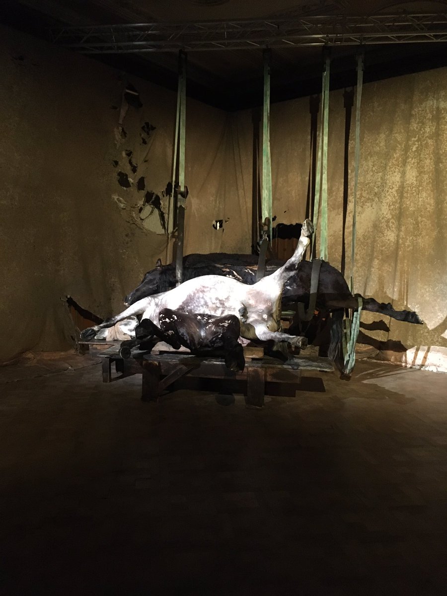 Ward Markey tweet media