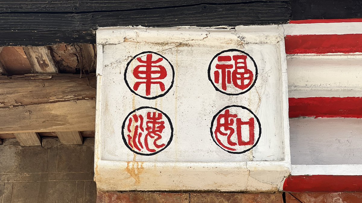 直営限定 PLANTマフィア【プロフ見て下さい】様専用 植物/観葉植物