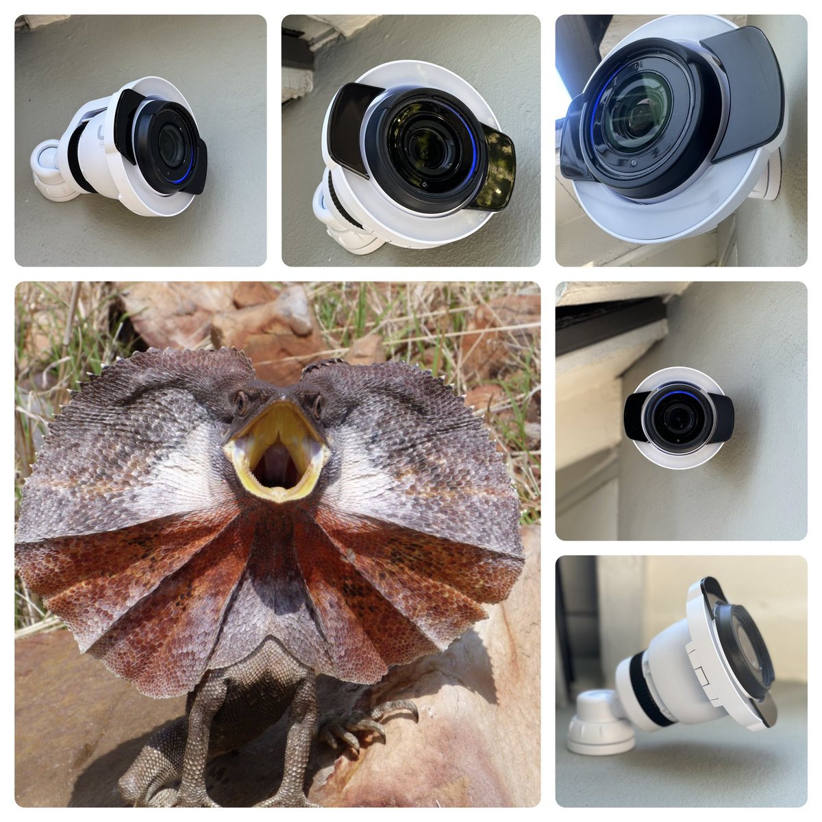 GbitTech tweet media